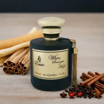 Paris Corner Emir When Soul Gets High Sample