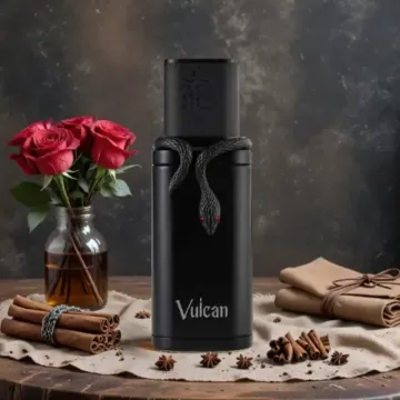 French Avenue Vulcan Black Friday Sample